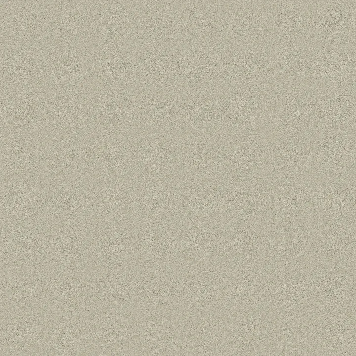 Anderson Tuftex Elegant Beauty — Aloe Wash · ZZ269-00322 — flooring selection with LeviArs Design & Remodeling