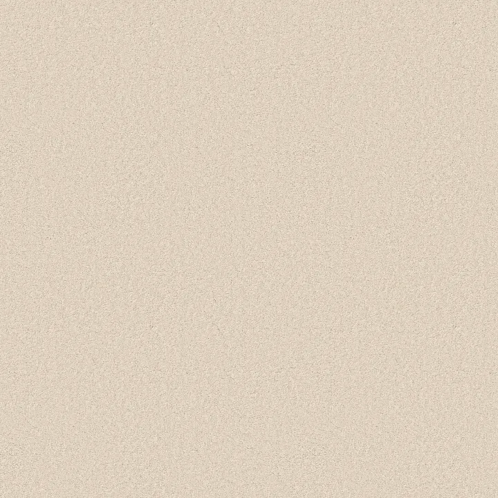 Anderson Tuftex Elegant Beauty — Angora · ZZ269-00112 — flooring selection with LeviArs Design & Remodeling