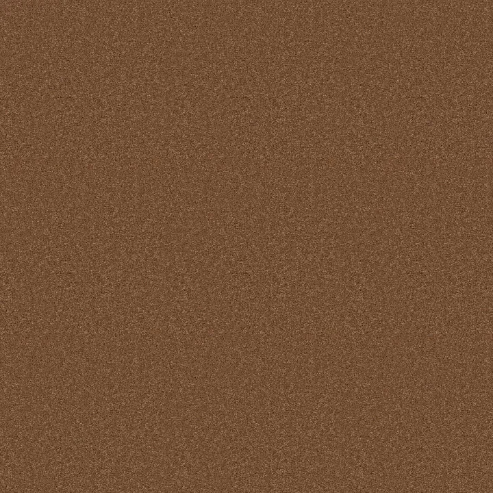 Anderson Tuftex Elegant Beauty — Autumn Glaze · ZZ269-00675 — flooring selection with LeviArs Design & Remodeling