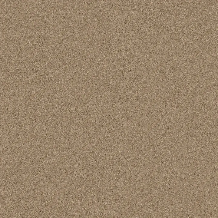 Anderson Tuftex Elegant Beauty — Biscotti · ZZ269-00724 — flooring selection with LeviArs Design & Remodeling