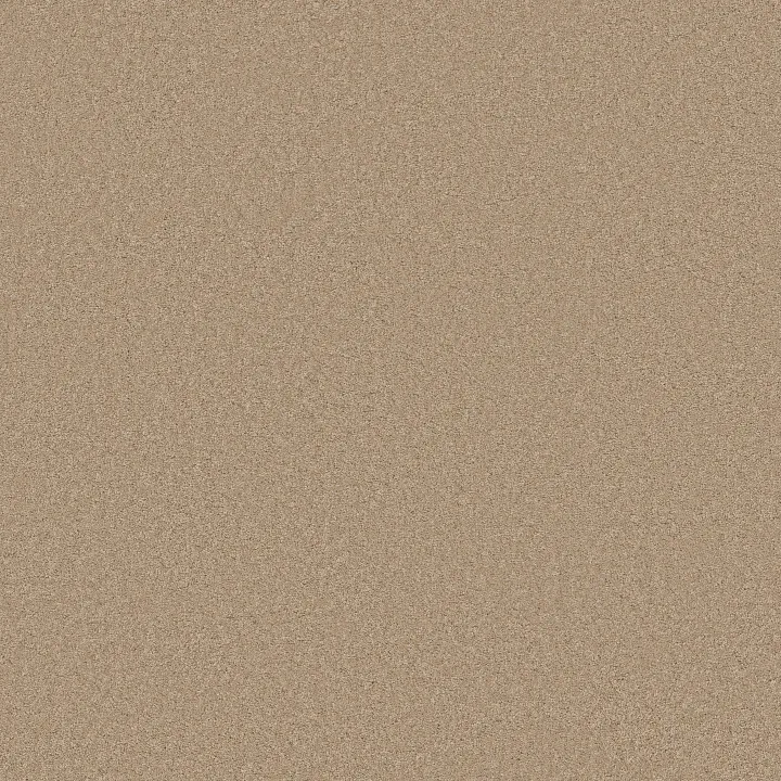 Anderson Tuftex Elegant Beauty — Brulee · ZZ269-00124 — flooring selection with LeviArs Design & Remodeling