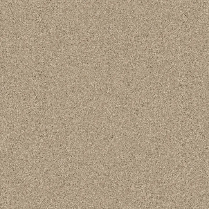 Anderson Tuftex Elegant Beauty — Buff · ZZ269-00173 — flooring selection with LeviArs Design & Remodeling