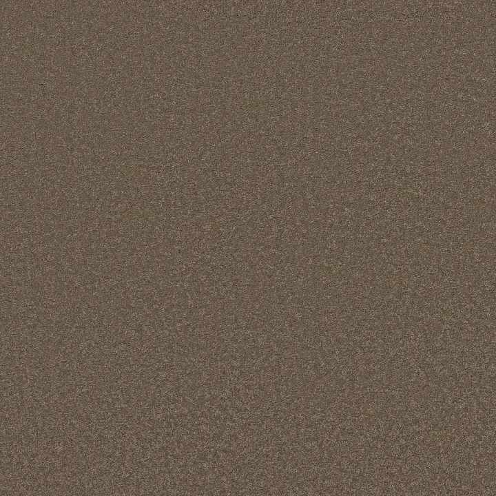Anderson Tuftex Elegant Beauty — Carafe · ZZ269-00758 — flooring selection with LeviArs Design & Remodeling