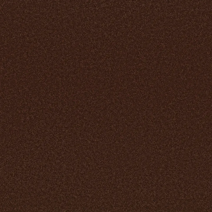 Anderson Tuftex Elegant Beauty — Cinnabar · ZZ269-00889 — flooring selection with LeviArs Design & Remodeling
