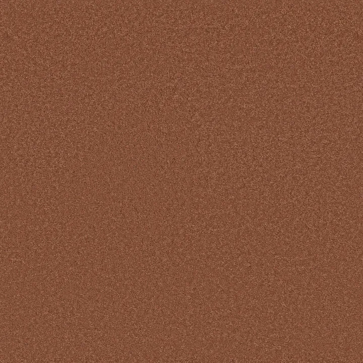 Anderson Tuftex Elegant Beauty — Clay · ZZ269-00667 — flooring selection with LeviArs Design & Remodeling