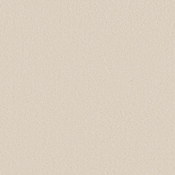 Anderson Tuftex Elegant Beauty — Cloud · ZZ269-00111 — flooring selection with LeviArs Design & Remodeling