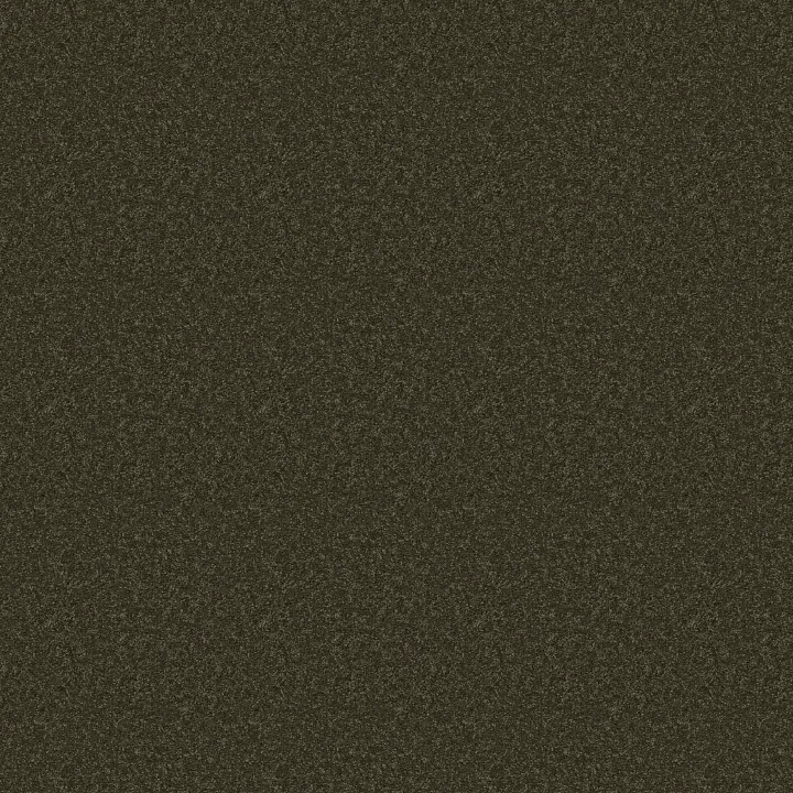 Anderson Tuftex Elegant Beauty — Dark Olive · ZZ269-00339 — flooring selection with LeviArs Design & Remodeling