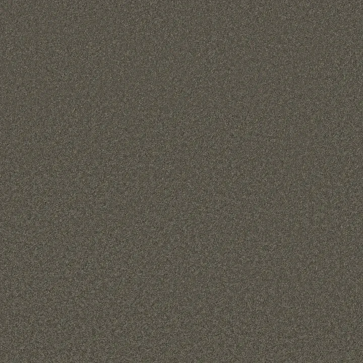 Anderson Tuftex Elegant Beauty — Highrise · ZZ269-00558 — flooring selection with LeviArs Design & Remodeling