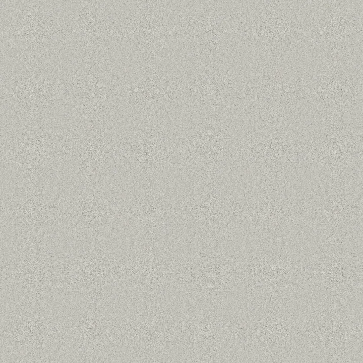 Anderson Tuftex Elegant Beauty — Icy Morn · ZZ269-00341 — flooring selection with LeviArs Design & Remodeling