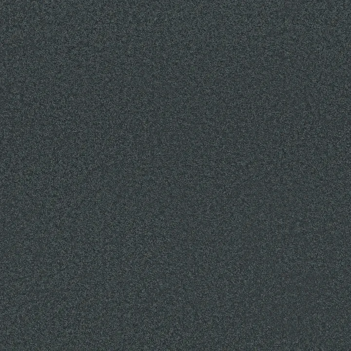 Anderson Tuftex Elegant Beauty — Indigo · ZZ269-00448 — flooring selection with LeviArs Design & Remodeling