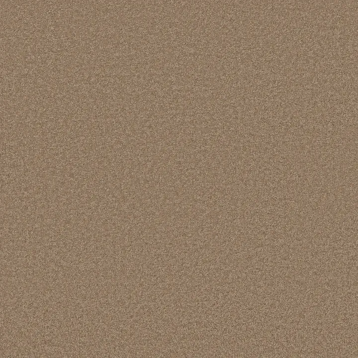 Anderson Tuftex Elegant Beauty — Latte · ZZ269-00755 — flooring selection with LeviArs Design & Remodeling