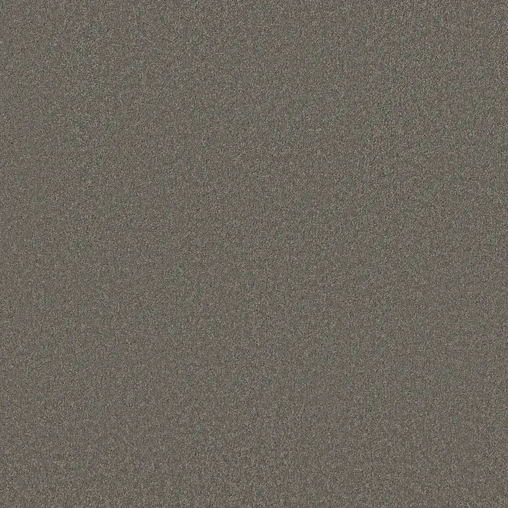Anderson Tuftex Elegant Beauty — Lunar Rock · ZZ269-00555 — flooring selection with LeviArs Design & Remodeling