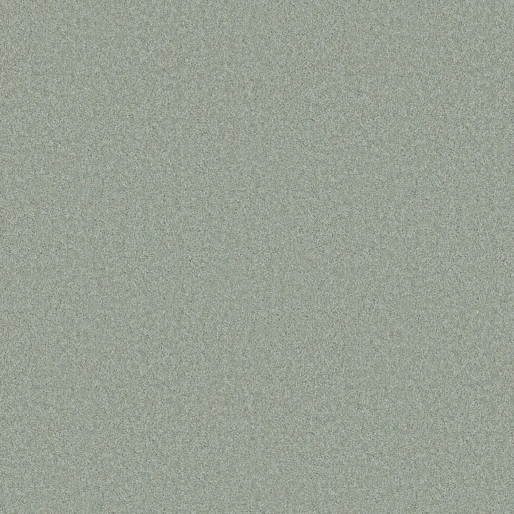 Anderson Tuftex Elegant Beauty — Misty Jade · ZZ269-00344 — flooring selection with LeviArs Design & Remodeling