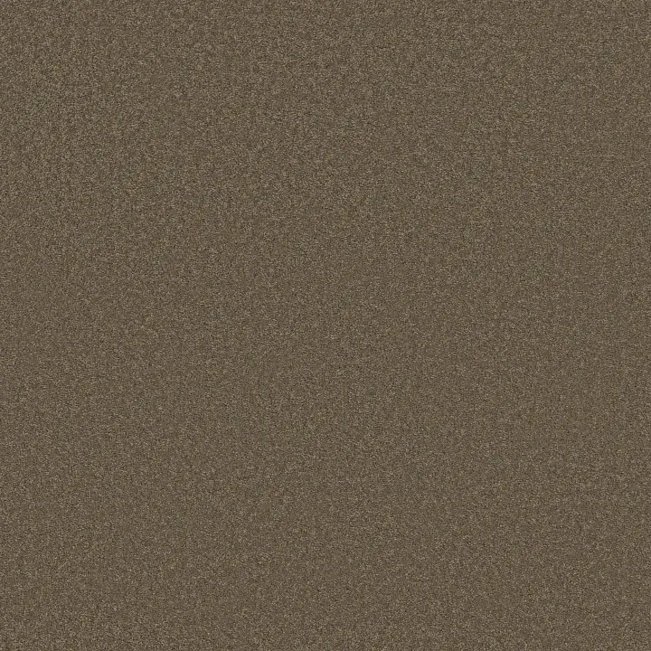Anderson Tuftex Elegant Beauty — Moonbeam · ZZ269-00578 — flooring selection with LeviArs Design & Remodeling