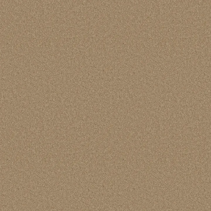 Anderson Tuftex Elegant Beauty — Natural · ZZ269-00174 — flooring selection with LeviArs Design & Remodeling