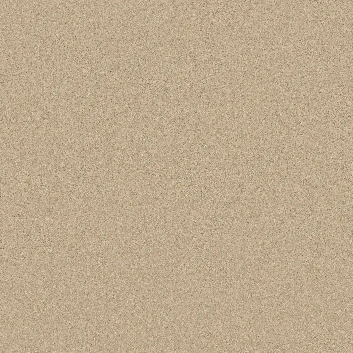 Anderson Tuftex Elegant Beauty — Papyrus · ZZ269-00222 — flooring selection with LeviArs Design & Remodeling