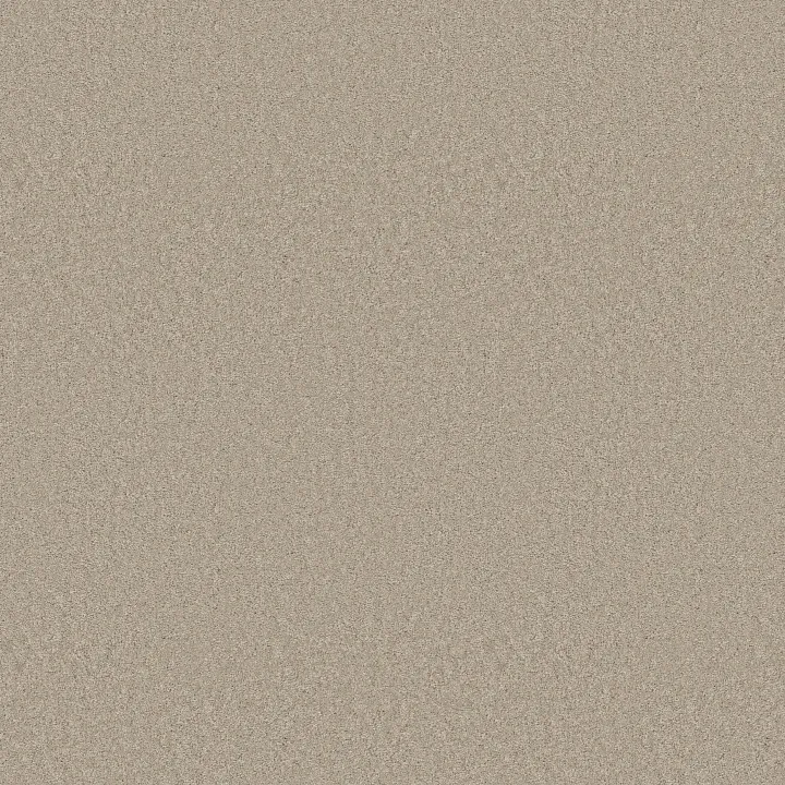 Anderson Tuftex Elegant Beauty — Sandshell · ZZ269-00172 — flooring selection with LeviArs Design & Remodeling