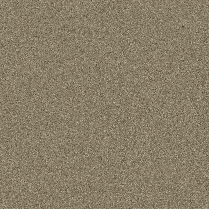 Anderson Tuftex Elegant Beauty — Slate · ZZ269-00355 — flooring selection with LeviArs Design & Remodeling