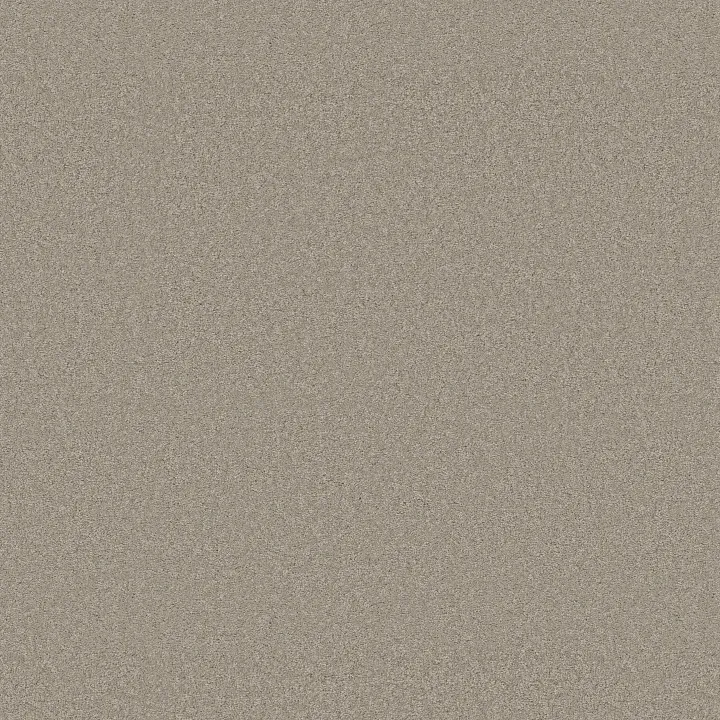 Anderson Tuftex Elegant Beauty — String · ZZ269-00552 — flooring selection with LeviArs Design & Remodeling
