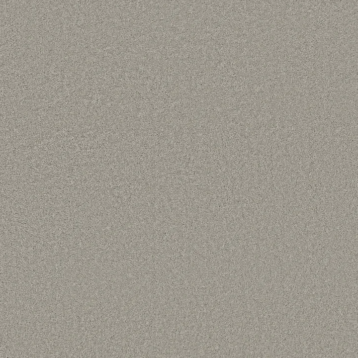 Anderson Tuftex Elegant Beauty — Summer Rain · ZZ269-00542 — flooring selection with LeviArs Design & Remodeling