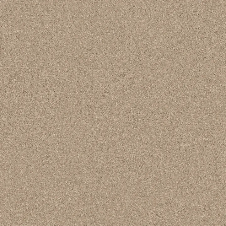 Anderson Tuftex Elegant Beauty — Transparent · ZZ269-00114 — flooring selection with LeviArs Design & Remodeling