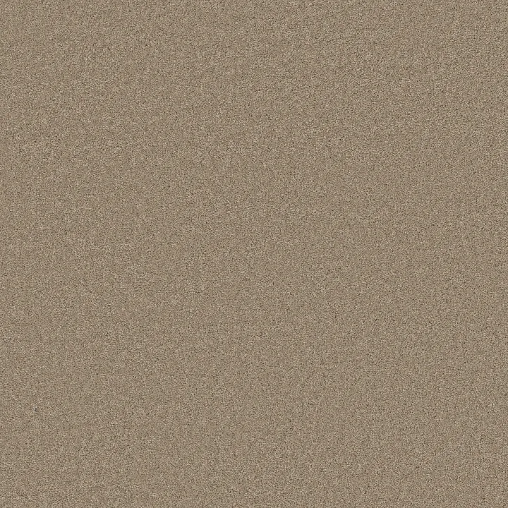 Anderson Tuftex Elegant Beauty — Tuffet · ZZ269-00753 — flooring selection with LeviArs Design & Remodeling