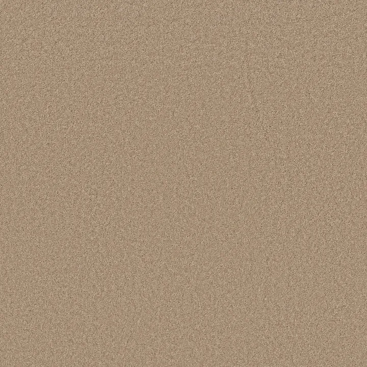 Anderson Tuftex Elegant Beauty — Warm Sand · ZZ269-00764 — flooring selection with LeviArs Design & Remodeling