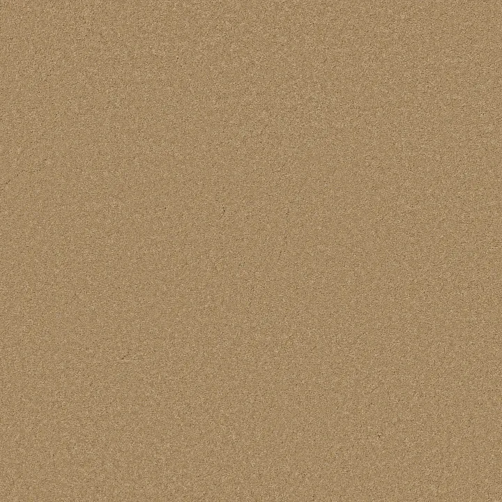 Anderson Tuftex Elegant Beauty — Winter Wheat · ZZ269-00224 — flooring selection with LeviArs Design & Remodeling