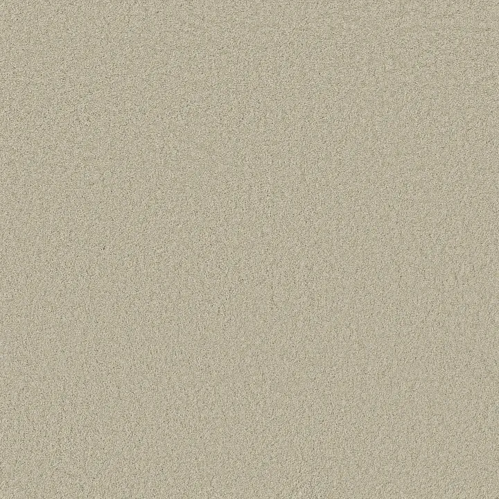 Anderson Tuftex Enchanting — Aloe Wash · ZZ267-00322 — flooring selection with LeviArs Design & Remodeling