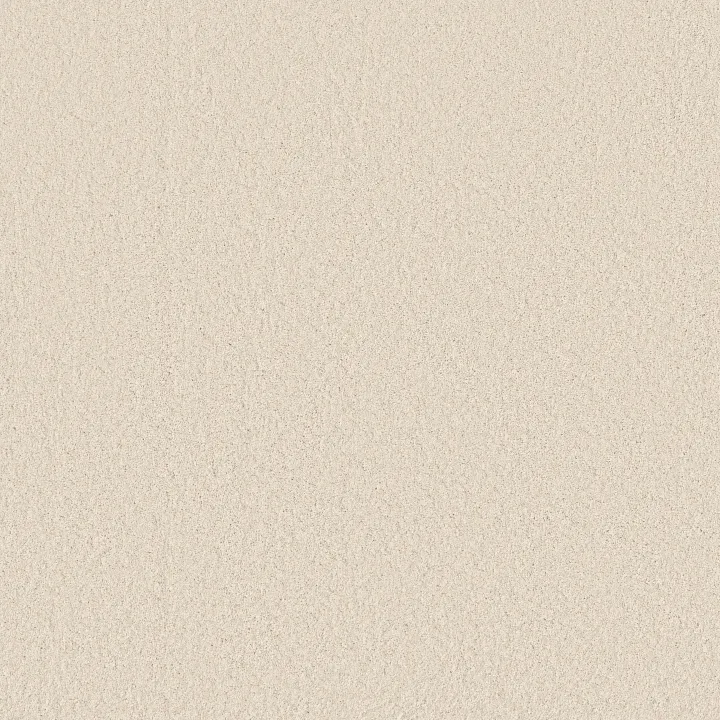 Anderson Tuftex Enchanting — Angora · ZZ267-00112 — flooring selection with LeviArs Design & Remodeling