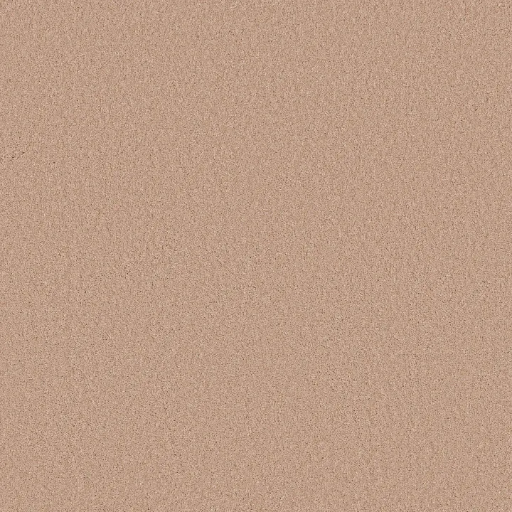 Anderson Tuftex Enchanting — Apricot Ice · ZZ267-00623 — flooring selection with LeviArs Design & Remodeling