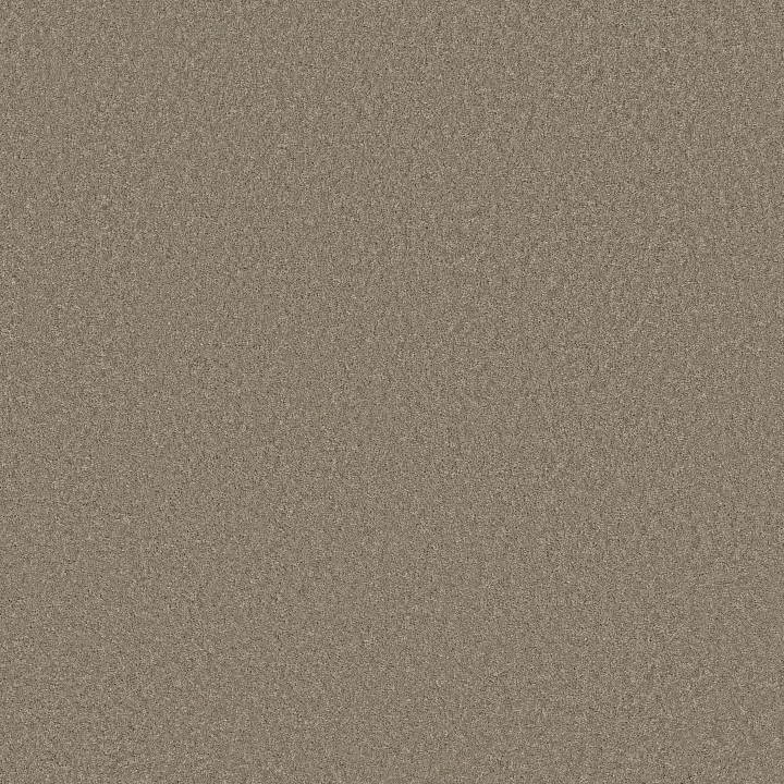 Anderson Tuftex Enchanting — Atmosphere · ZZ267-00573 — flooring selection with LeviArs Design & Remodeling