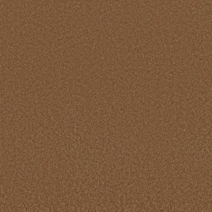 Anderson Tuftex Enchanting — Autumn Glaze · ZZ267-00675 — flooring selection with LeviArs Design & Remodeling