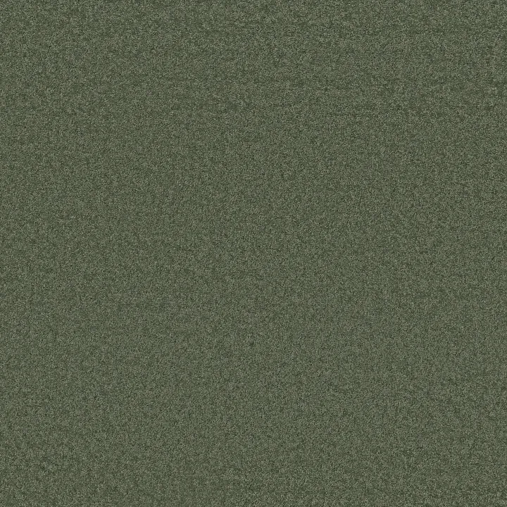 Anderson Tuftex Enchanting — Beryl · ZZ267-00348 — flooring selection with LeviArs Design & Remodeling