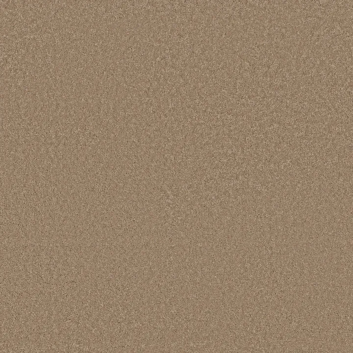 Anderson Tuftex Enchanting — Biscotti · ZZ267-00724 — flooring selection with LeviArs Design & Remodeling