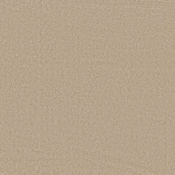 Anderson Tuftex Enchanting — Buff · ZZ267-00173 — flooring selection with LeviArs Design & Remodeling