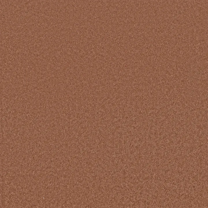 Anderson Tuftex Enchanting — Clay · ZZ267-00667 — flooring selection with LeviArs Design & Remodeling