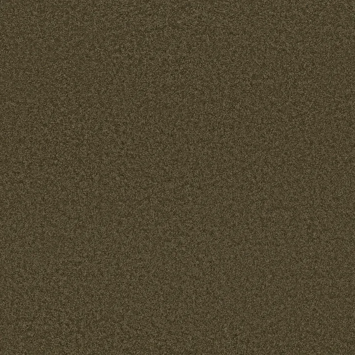 Anderson Tuftex Enchanting — Dark Olive · ZZ267-00339 — flooring selection with LeviArs Design & Remodeling