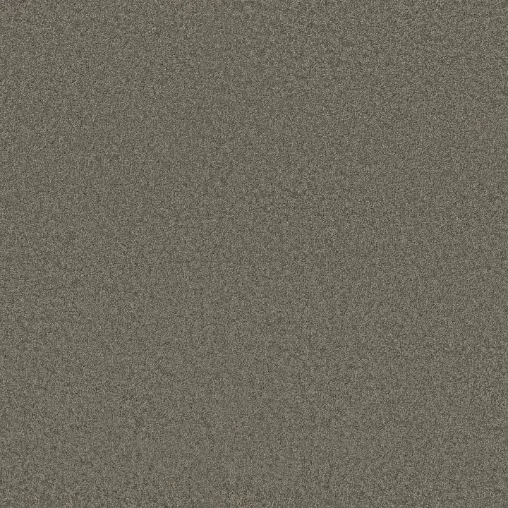 Anderson Tuftex Enchanting — Highrise · ZZ267-00558 — flooring selection with LeviArs Design & Remodeling