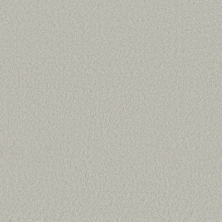 Anderson Tuftex Enchanting — Icy Morn · ZZ267-00341 — flooring selection with LeviArs Design & Remodeling