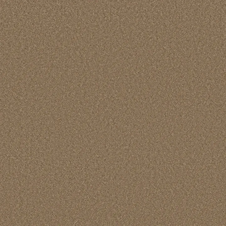 Anderson Tuftex Enchanting — Latte · ZZ267-00755 — flooring selection with LeviArs Design & Remodeling