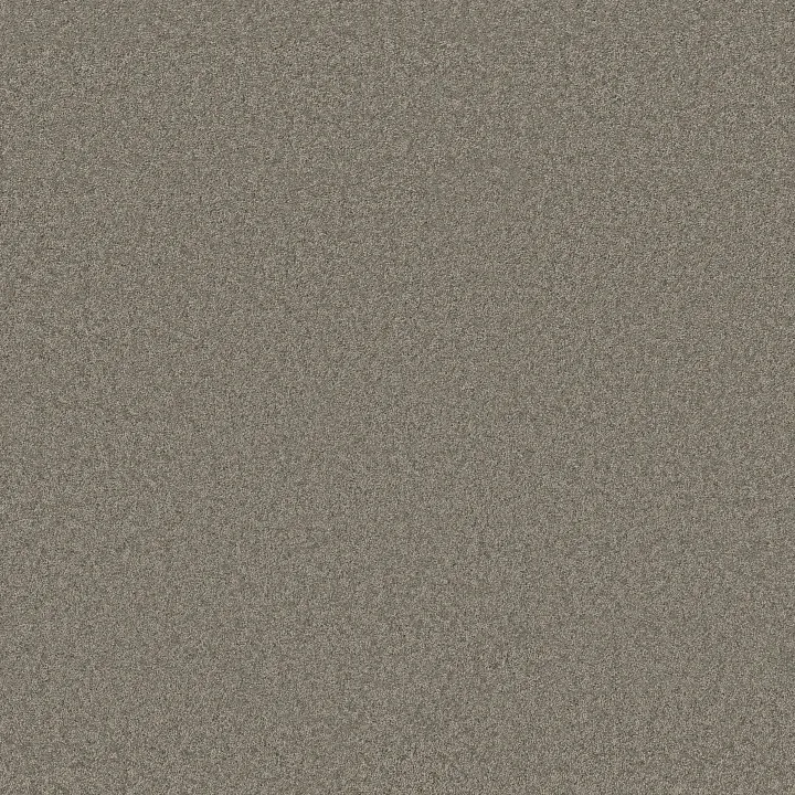 Anderson Tuftex Enchanting — Lunar Rock · ZZ267-00555 — flooring selection with LeviArs Design & Remodeling