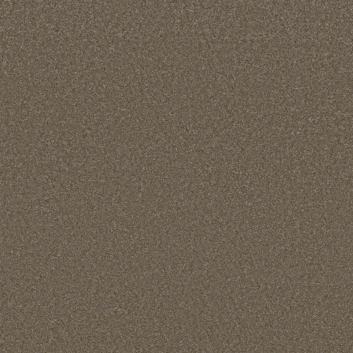 Anderson Tuftex Enchanting — Moonbeam · ZZ267-00578 — flooring selection with LeviArs Design & Remodeling