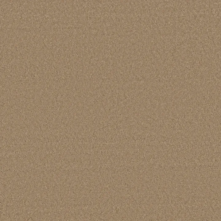 Anderson Tuftex Enchanting — Natural · ZZ267-00174 — flooring selection with LeviArs Design & Remodeling
