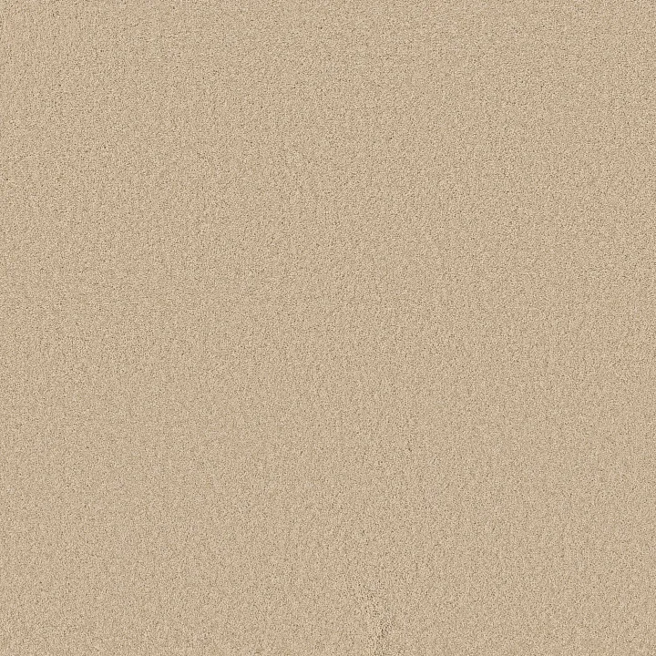 Anderson Tuftex Enchanting — Papyrus · ZZ267-00222 — flooring selection with LeviArs Design & Remodeling