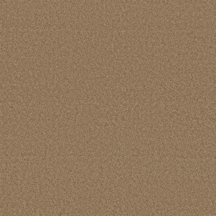 Anderson Tuftex Enchanting — Prairie · ZZ267-00727 — flooring selection with LeviArs Design & Remodeling
