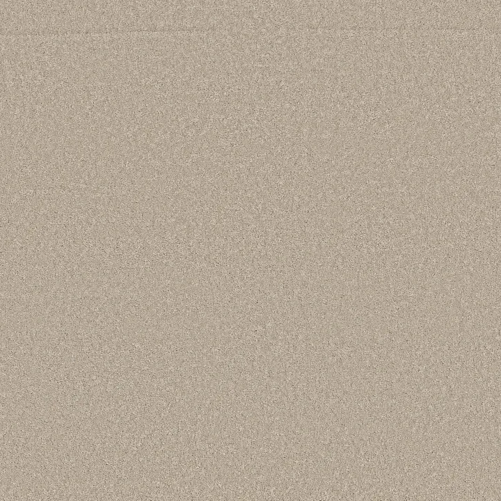 Anderson Tuftex Enchanting — Sandshell · ZZ267-00172 — flooring selection with LeviArs Design & Remodeling