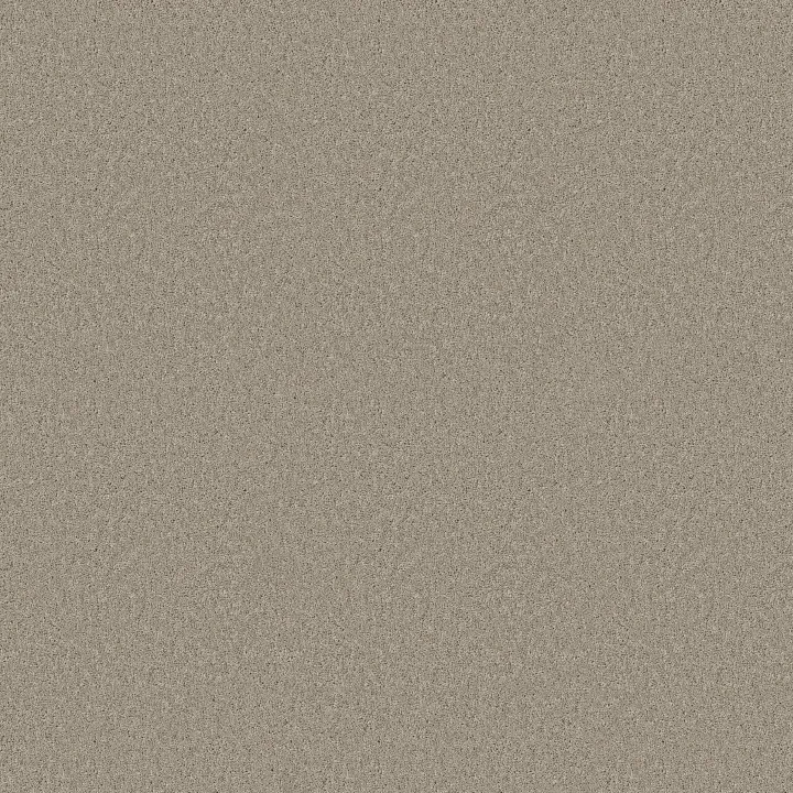 Anderson Tuftex Enchanting — String · ZZ267-00552 — flooring selection with LeviArs Design & Remodeling