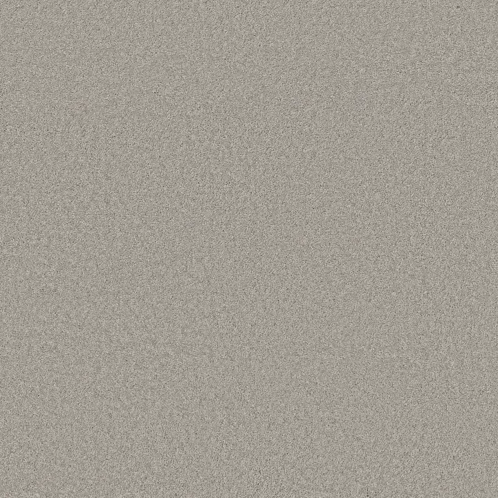 Anderson Tuftex Enchanting — Summer Rain · ZZ267-00542 — flooring selection with LeviArs Design & Remodeling