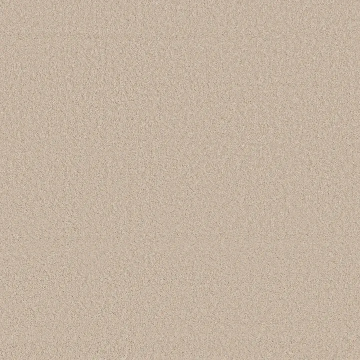 Anderson Tuftex Enchanting — Tapioca · ZZ267-00162 — flooring selection with LeviArs Design & Remodeling